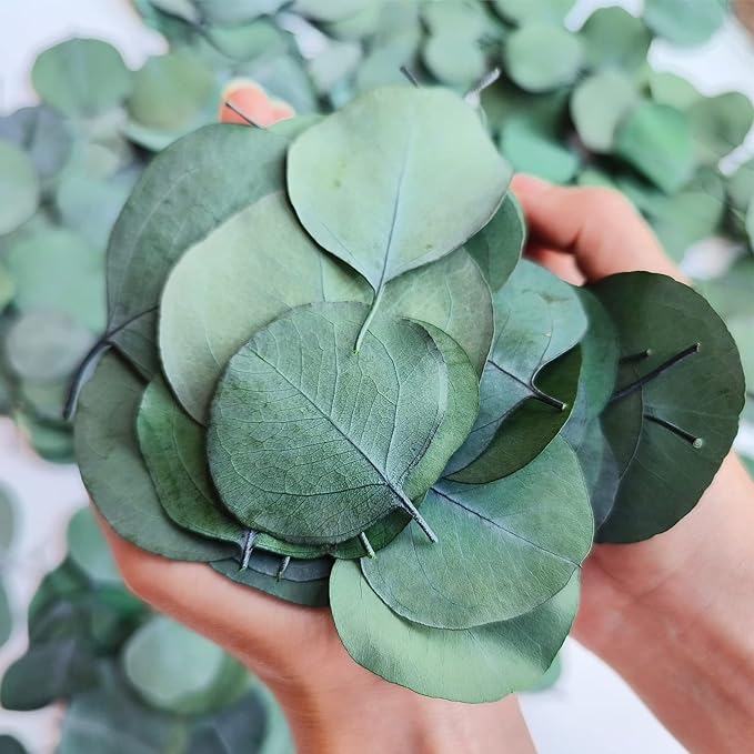 300+ Pcs Dried Real Eucalyptus Leaves, Rustic Boho Wedding Table Decor, 100% Natural Preserved Silver Dollar Eucalyptus Decor Green Leaves, Biodegradable Confetti for Weeding, DIY, Baby Shower, Cake1