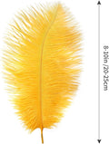 Golden Ostrich Feathers Natural Bulk 8-10Inch 20cm-25cm, 24pcs – Yellow