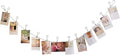 Multi-Purpose Steel Wall Hanging Photo Display Cable Wire Rod