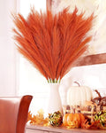 Pampas Grass Tall, 8pcs – Orange