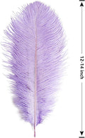 Ostrich Feathers Large Natural Bulk 12-14Inch 30cm-35cm, 12pcs – Lavender