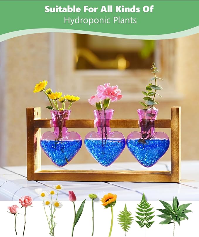 Terrarium Set with Wooden Stand, 3 Glass Bottles and Brush