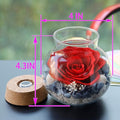Preserved Real Roses with Colorful Mood Light Wishing Bottle