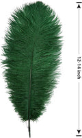 Blackish Ostrich Feathers Large Natural Bulk 12-14Inch, 12pcs – Green