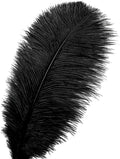 Large Ostrich Feathers – Black, 24Pcs 12-14inch Large Feathers