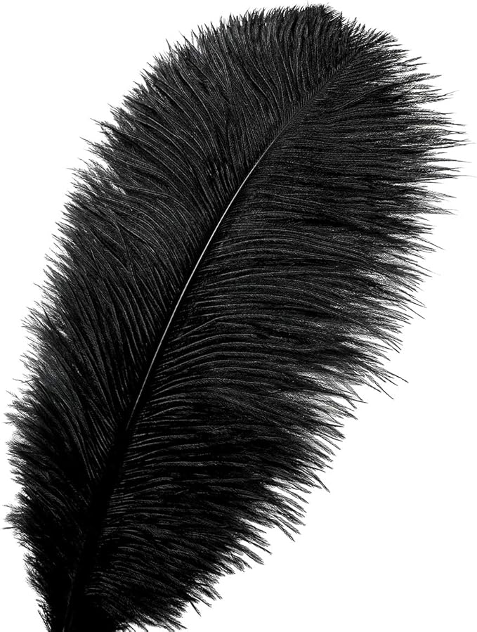 Ballinger Black Large Ostrich Feathers - 12Pcs 14-16inch Large Feathers for Vase, Wedding Party Centerpieces and Halloween Home Decor