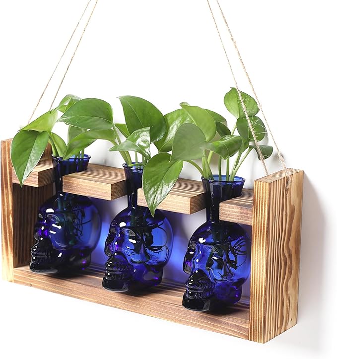 Terrarium Set of 3 Skull Glass Propagation Stations with Wood Stand