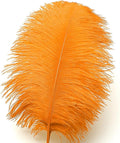 Large Ostrich Feathers – Orange, 24Pcs 8-10inch Big Feathers