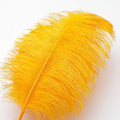 Large Ostrich Feathers – Gold, 12Pcs 14-16inch Large Feathers