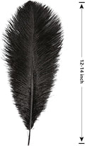 Ostrich Feathers Large Natural Bulk 12-14Inch 30cm-35cm, 12pcs – Black