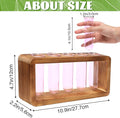 Glass Plant Propagation Station with 5 Test Tubes Colorful Planter