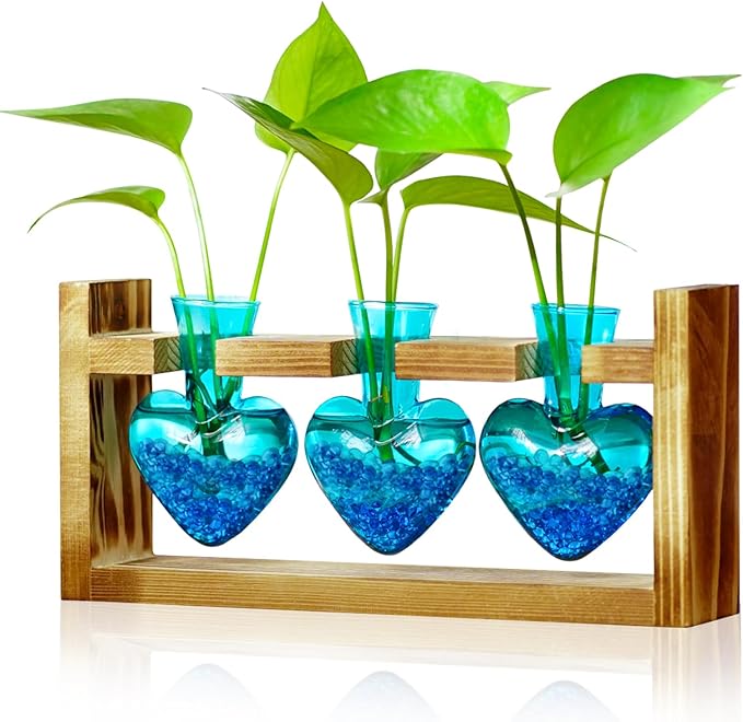 Terrarium Set with Wood Stand, 3 Glass Bulb Vases, Blue Stone