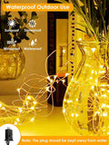 200 LED Fairy Lights Plug, 66Ft