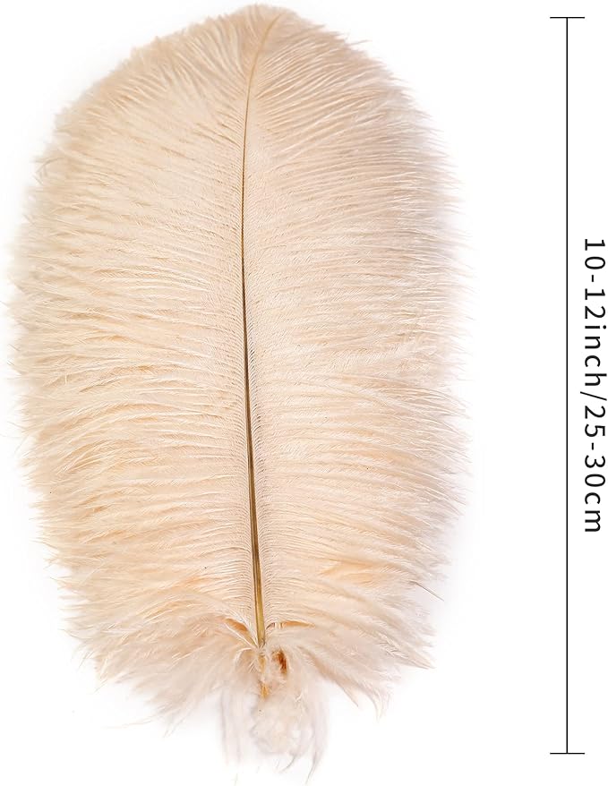 Ballinger Light Salmon Ostrich Feathers - 24pcs 10-12inch Feathers for vase，Wedding Party Centerpieces and Home Decor