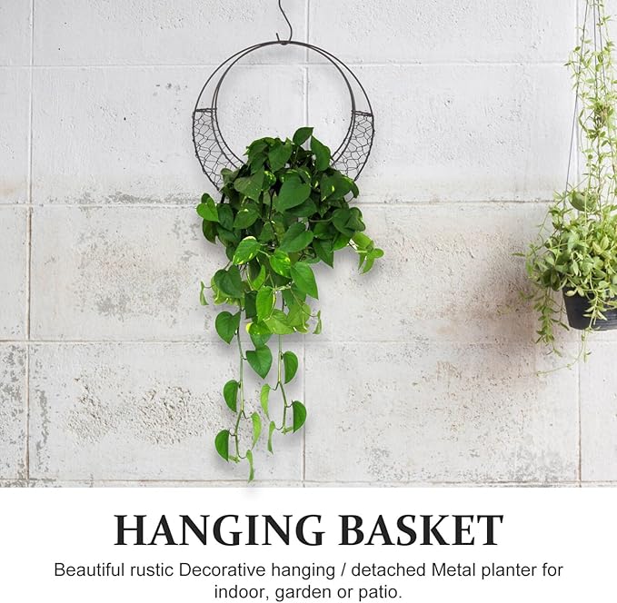 Air Plants Holders Wire Wreath Frame Hanger, 11 inch Moon Shape Wreath Form Hanging Plant Holder Metal Hanging Orchid Planter Plant Basket Holder, Succulent Wire Wreath Frame with Hook (Pack of 2)