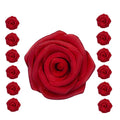 Edible Cupcake Toppers, 12 Sugar Roses About 1.5 Inches in Several Colors