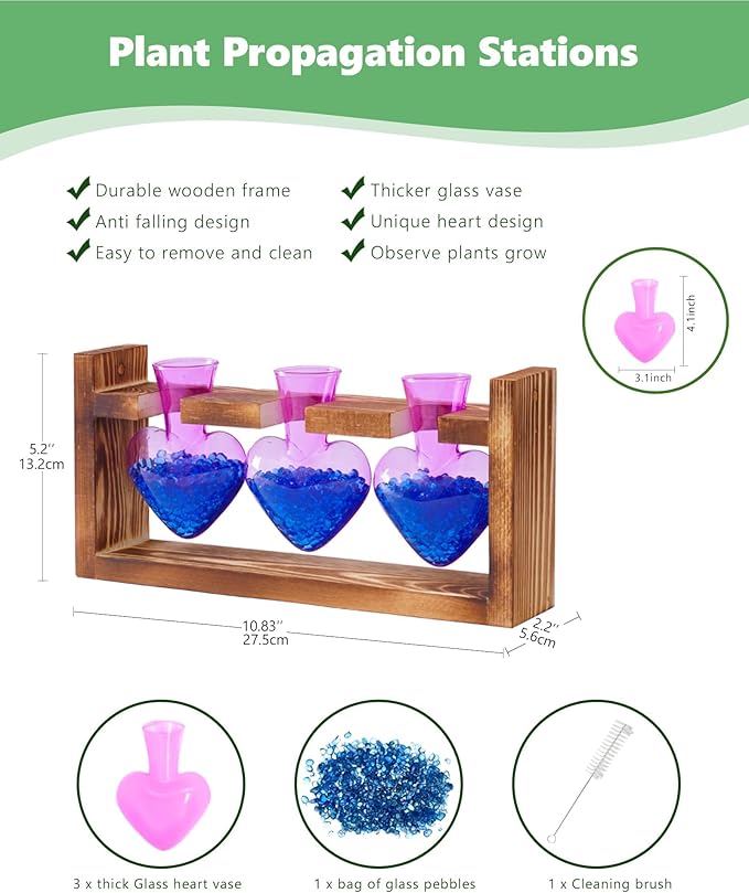 Terrarium Set with Wooden Stand, 3 Glass Bottles and Brush