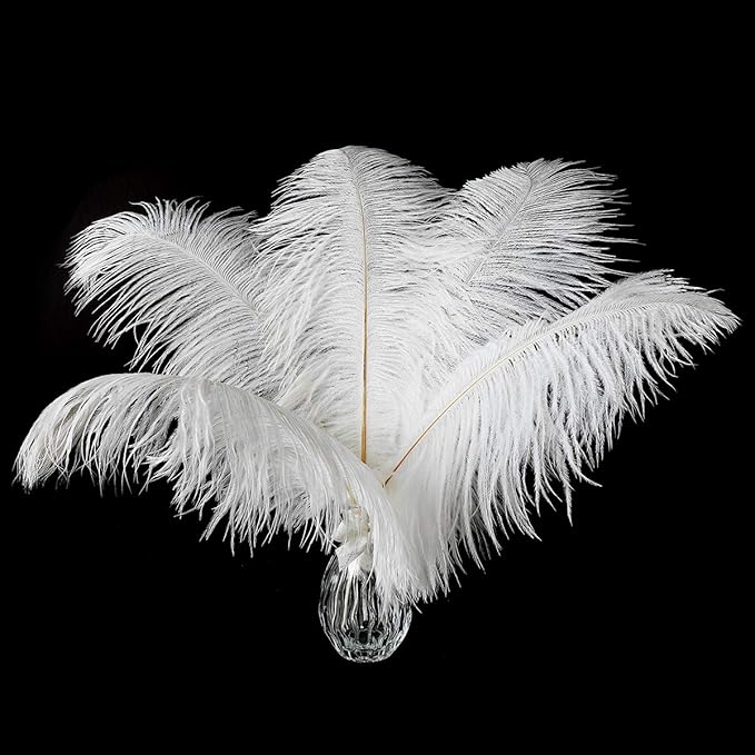 24pcs Natural White Ostrich Feathers 10-12inch (25-30cm) for Wedding Party Centerpieces，Flower Arrangement and Home Decoration.