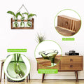 Plant Propagation Station Plant Terrarium Unique Birthday Gifts