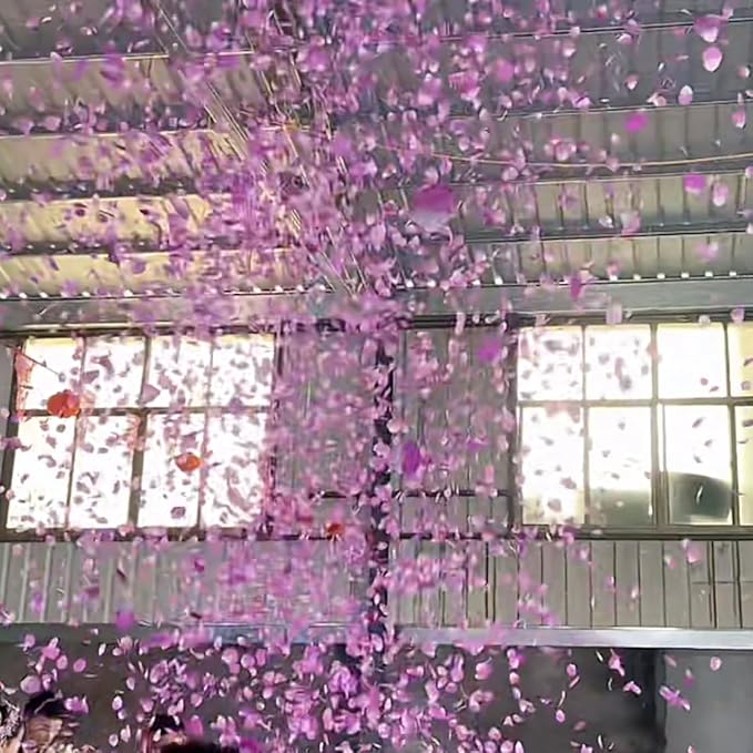 CODE FLORIST 2200 PCS Silk Rose Petals Wedding Flower Decoration