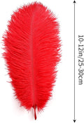 Ostrich Feathers Natural Bulk 10-12Inch 25cm-30cm for Crafts, 24pcs – Red