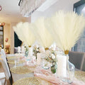 Faux Pampas Grass, 50PCS, 21.6" Short Artificial Pompous Grass Floral
