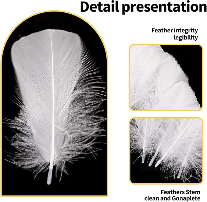 THARAHT 360pcs White Feathers 3-5 inch Craft Feathers Assorted Rainbow Colors Feathers for Kids for DIY Handmade Wedding Home Party Decorations Natural Feather