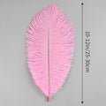 Ostrich Feathers Natural Bulk 10-12Inch 25cm-30cm, 12pcs – Pink