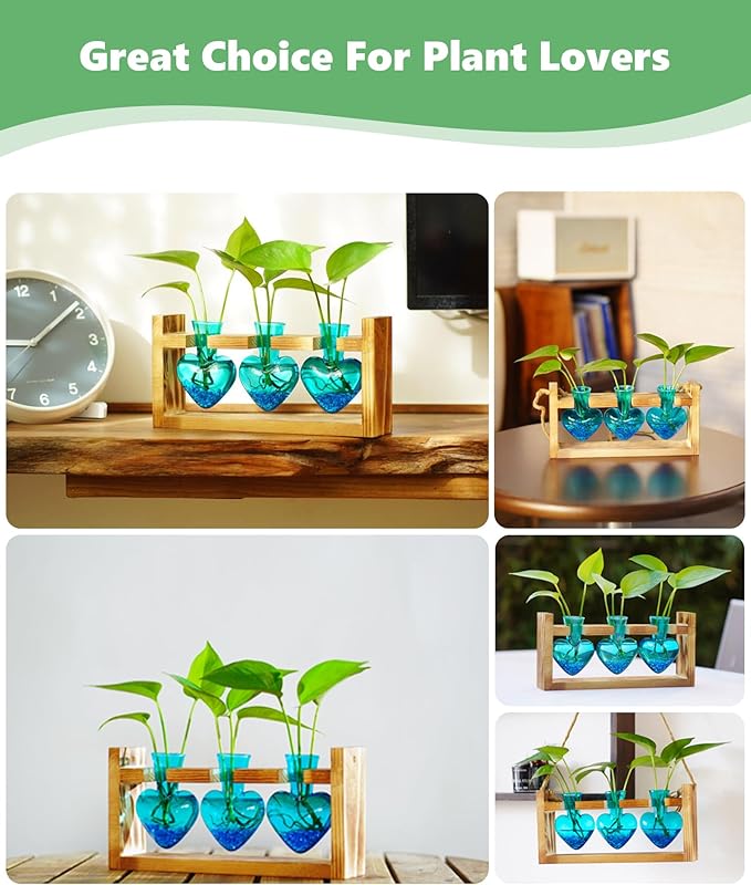 Terrarium Set with Wood Stand, 3 Glass Bulb Vases, Blue Stone