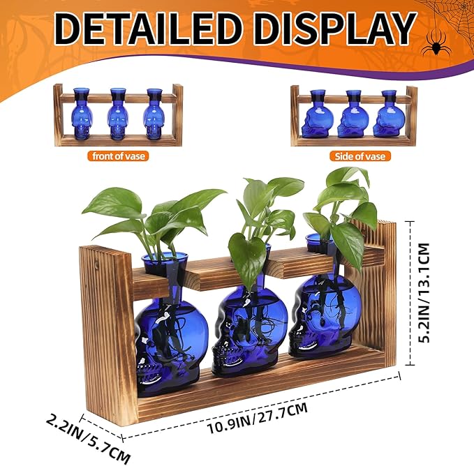 Terrarium Set of 3 Skull Glass Propagation Stations with Wood Stand