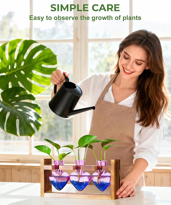 Terrarium Set with Wooden Stand, 3 Glass Bottles and Brush