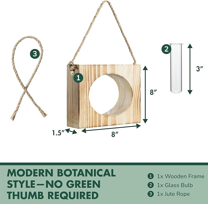 · GARDEN REPUBLIC · Propagation Stations Set of 3 - Propagation Vases for Plants - Hanging Wooden Wall Planter and Glass Test Tubes - Indoor Plant Holder, Hydroponic Decor