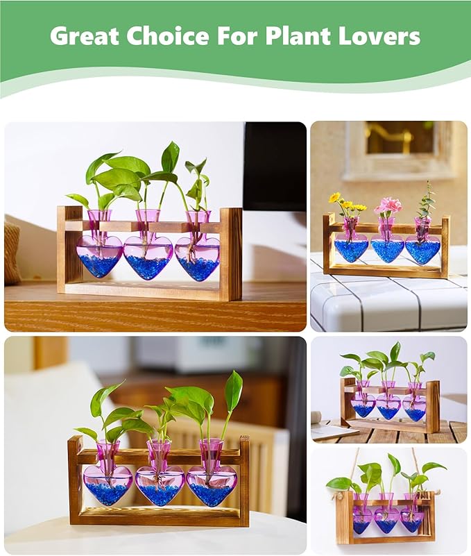 Terrarium Set with Wooden Stand, 3 Glass Bottles and Brush