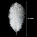 White Ostrich Feathers 12-14inch (30-35cm) for Wedding, 12pcs – Natural