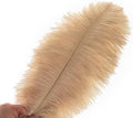Champagne Ostrich Feathers Bulk, 24pcs 10-12inch Boho Feathers