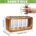 Glass Plant Propagation Station with 5 Test Tubes Colorful Planter