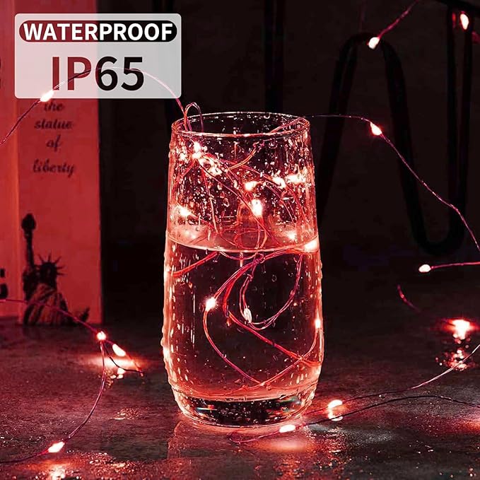 Aogist 24 Pack Fairy Lights 3 Modes 7ft 20 LED Waterproof,Battery Operated Silver Wire Firefly Starry Moon Mini String Lights for Mason Jars Christmas DIY Crafts Wedding Party Bedroom,Red
