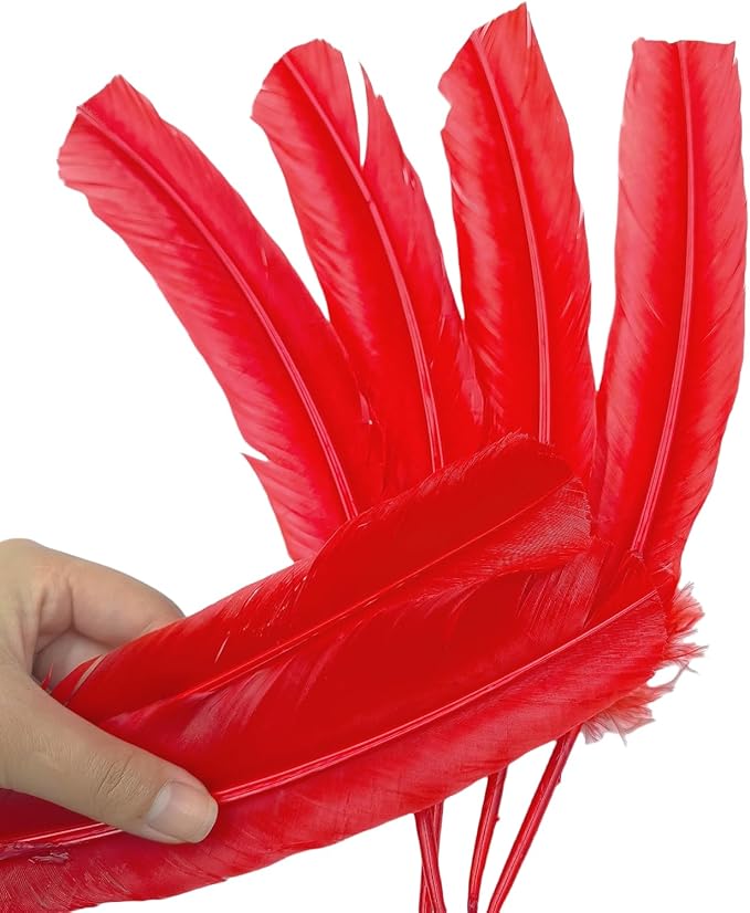 Red Turkey Feathers,22 Pcs Natural Feathers Bulk Long 10-12 inch (25-30cm),Turkish Feather for Crafts DIY Wedding Home Party Mardi Gras Decorations (Red)