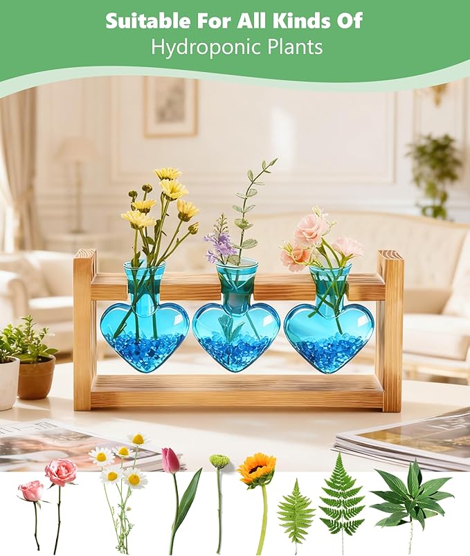 Terrarium Set with Wood Stand, 3 Glass Bulb Vases, Blue Stone