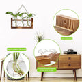 Plant Propagation Station Plant Terrarium Unique Birthday Gifts