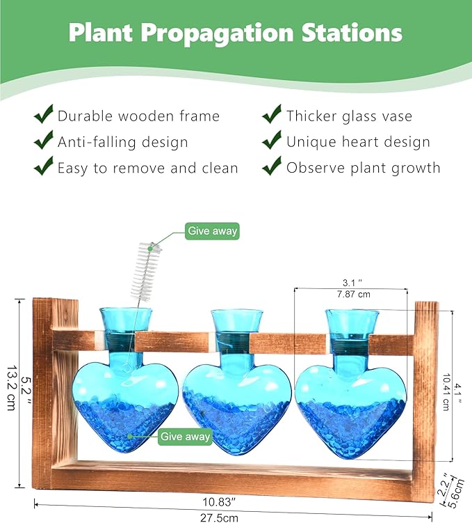 Terrarium Set with Wood Stand, 3 Glass Bulb Vases, Blue Stone