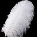 Large Ostrich Feathers – White, 16-18 Inch 10pcs Feathers