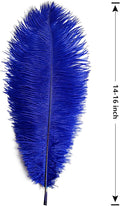 Ostrich Feathers Large Natural Bulk 14-16Inch 35cm-40cm, 12pcs – Blue