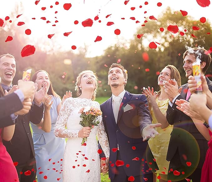 Ouddy Decor 3000 Pcs Rose Petals Artificial Flowers for Valentine's Wedding Decor Romantic Night Bridal Party Home Decorations, Red
