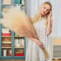 Faux Pampas Grass Decor, 43 inch, 6 Stems Artificial Pampas Grass