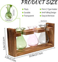 Plant Propagation Station Plant Terrarium Unique Birthday Gifts