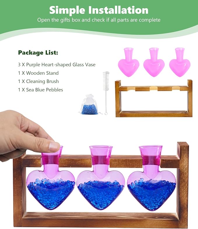 Terrarium Set with Wooden Stand, 3 Glass Bottles and Brush