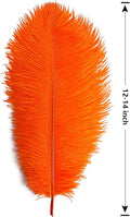 Ostrich Feathers Large Natural Bulk 12-14Inch 30cm-35cm, 12pcs – Orange