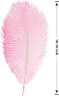 Ostrich Feathers Bulk 16-18Inch(40-45cm) for Wedding, 12PCS – Natural