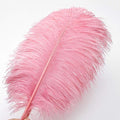 Lotus Ostrich Feathers – Pink, 24Pcs 12-14inch Large Feathers Bulk